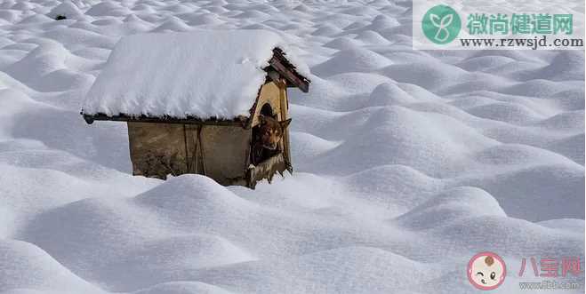 下雪了怎么发朋友圈 下雪天发朋友圈的句子