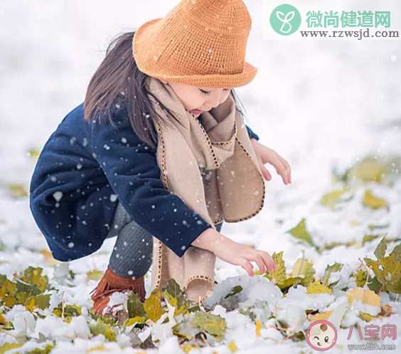 大雪到了的发朋友圈文案优美