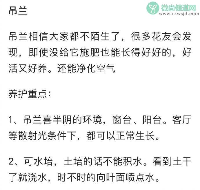 养啥死啥是种什么体验 什么东西比较好养活