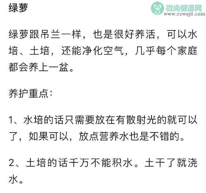 养啥死啥是种什么体验 什么东西比较好养活