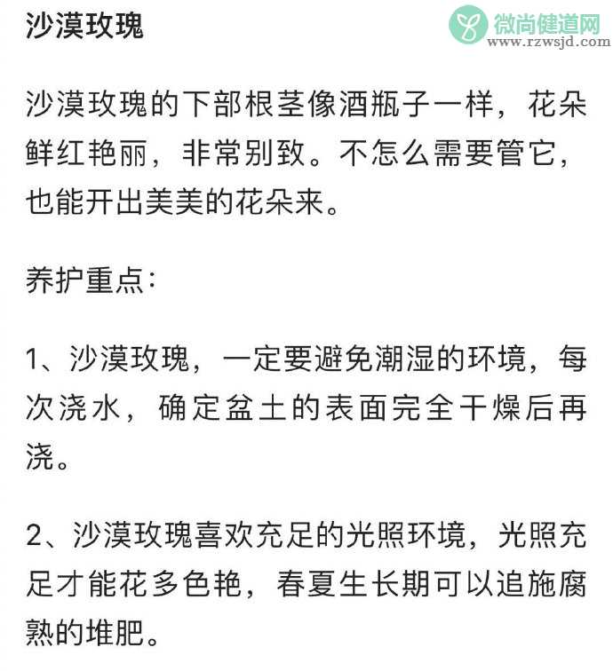 养啥死啥是种什么体验 什么东西比较好养活