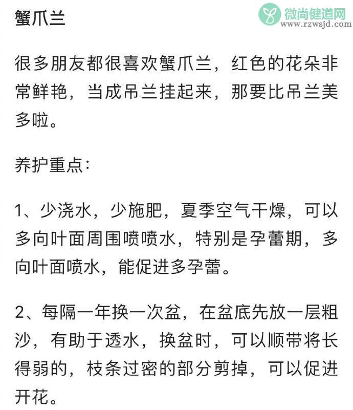 养啥死啥是种什么体验 什么东西比较好养活