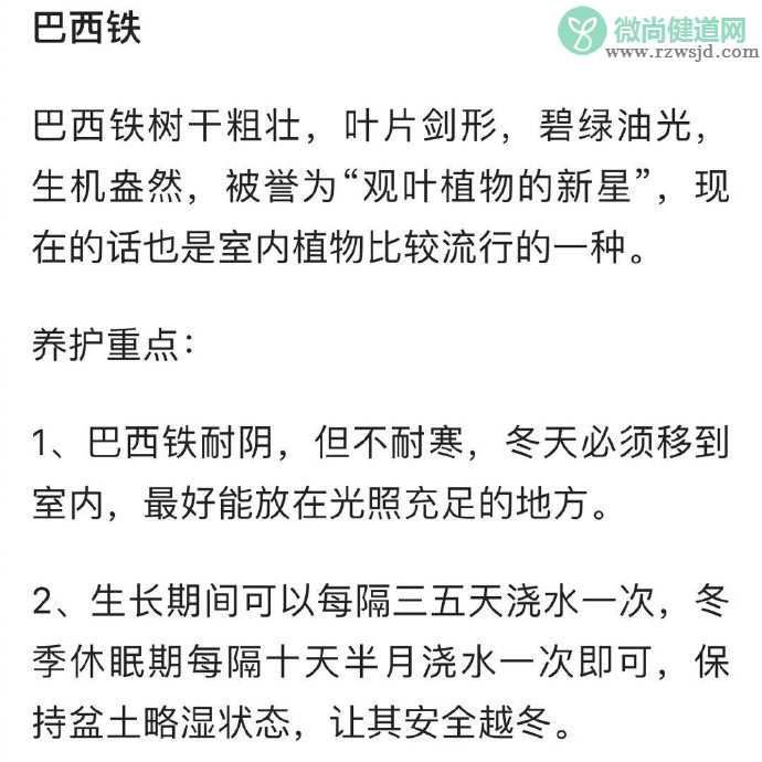 养啥死啥是种什么体验 什么东西比较好养活