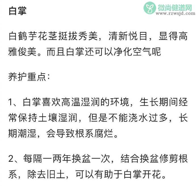 养啥死啥是种什么体验 什么东西比较好养活