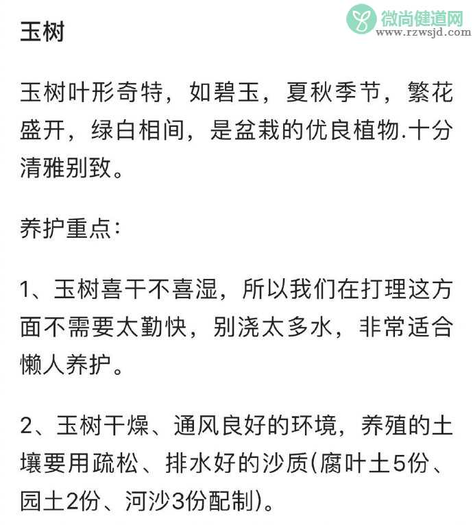 养啥死啥是种什么体验 什么东西比较好养活