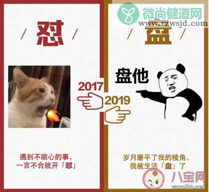 2017和2019网络流行语对比 2019网络流行语盘点