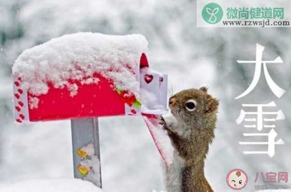 关于大雪节气祝福语一句话句