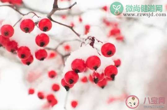 关于大雪节气祝福语一句话句子 大雪朋友圈暖心祝福语