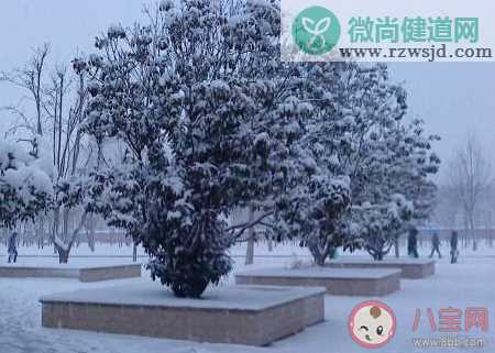 今日大雪精选暖心祝福语说说