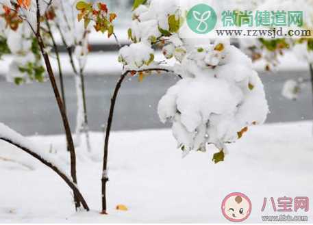 今日大雪精选暖心祝福语说说朋友圈 今日大雪的暖心微信句子大全