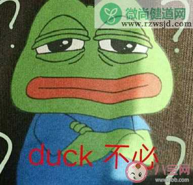 duck不必类似的梗 duck不必怎么回