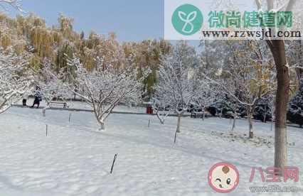 从未见过雪是什么感受 南方人看到下雪的反应