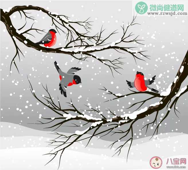 适合下雪发朋友圈的文案句子 下雪天发朋友圈文案说说大全