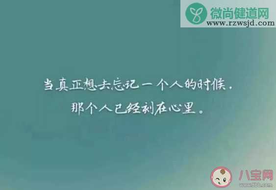 就像唱着一首思念你的歌是什么歌 《怎么能忘了》完整歌词在线试听