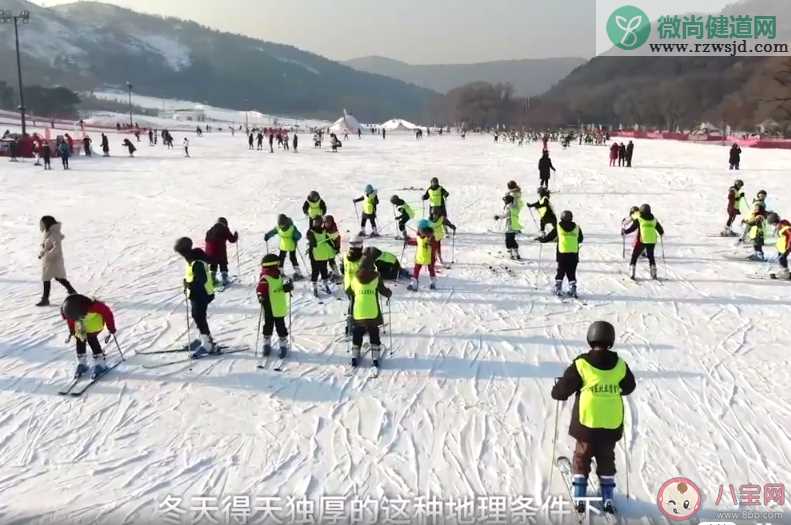 东北小学生滑雪场上体育课是真的吗 什么小学可以在滑雪场上体育课