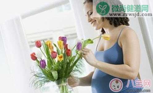 孕妇不能养什么花草 孕妇适合养哪些花草(适合孕妇养的花草名单)