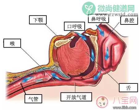 孩子睡觉的时候张口呼吸是什么原因 为什么会出现孩子张口呼吸的情况