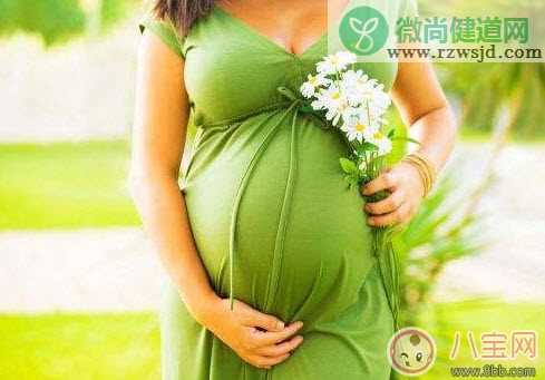 孕妇不能养什么花草 孕妇适合养哪些花草(适合孕妇养的花草名单)