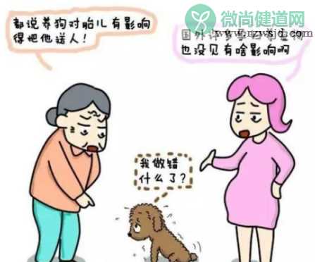 怀孕能不能养猫养狗 孕期养