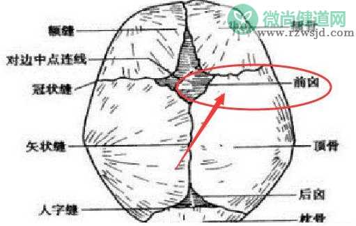 宝宝卤门在哪 宝宝卤门位置介绍