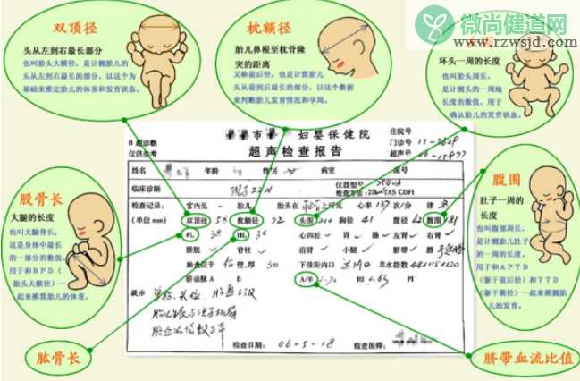 如何快速读懂B超检查单 B超单各字母的含义