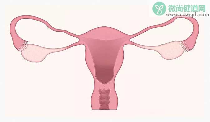 多囊患者怀孕率低的原因 多囊患者怀孕后要注意什么