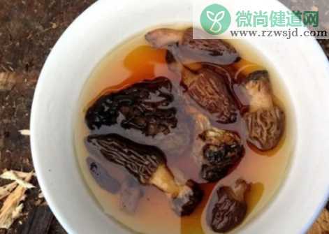 羊肚菌辅食怎么做好吃 羊肚菌辅食大全