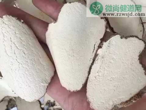 宝宝可以吃虎乳菌吗 宝宝多大可以吃虎乳菌