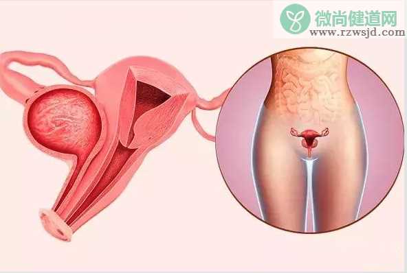 怀孕后发现宫颈癌孩子能要吗 怀孕后发现宫颈癌怎么办