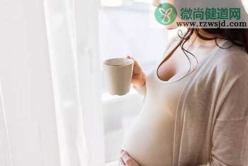 孕妇能吃李子吗 孕妇吃李子