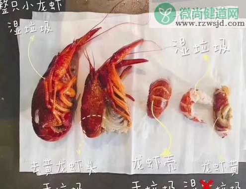 小龙虾是干垃圾还是湿垃圾 小龙虾壳是什么垃圾