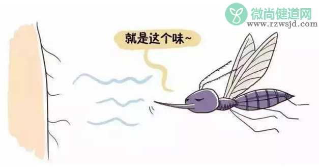 不同年龄段怎么给孩子驱蚊 