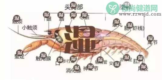 南宁垃圾分类标准是什么 南宁垃圾分类罚款标准