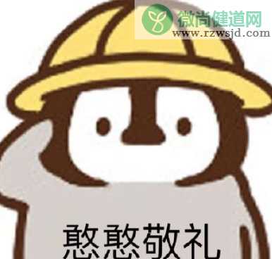 铁憨憨杰尼龟表情包 憨憨敬礼杰尼龟表情包