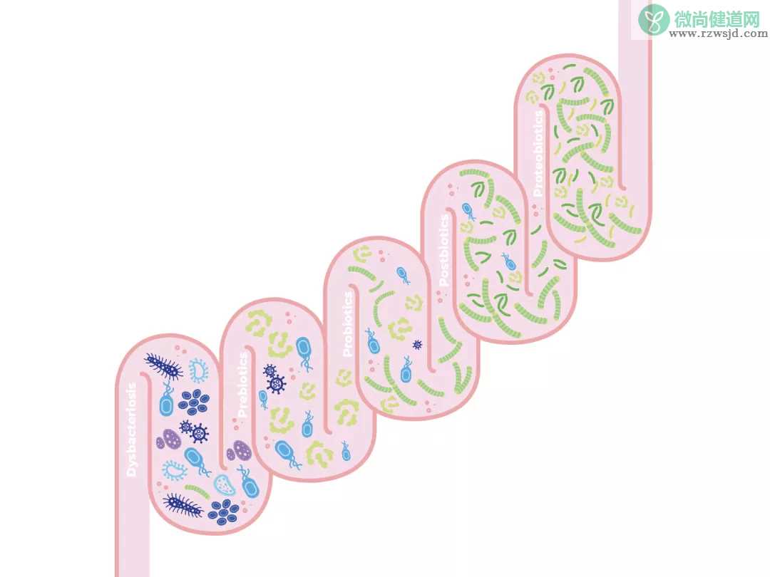 奶粉成分什么最重要 宝宝吃的奶粉一定要有什么