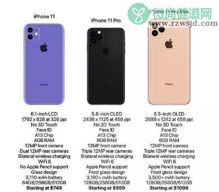 iphone11上市时间是什么时候 iphone11多少钱