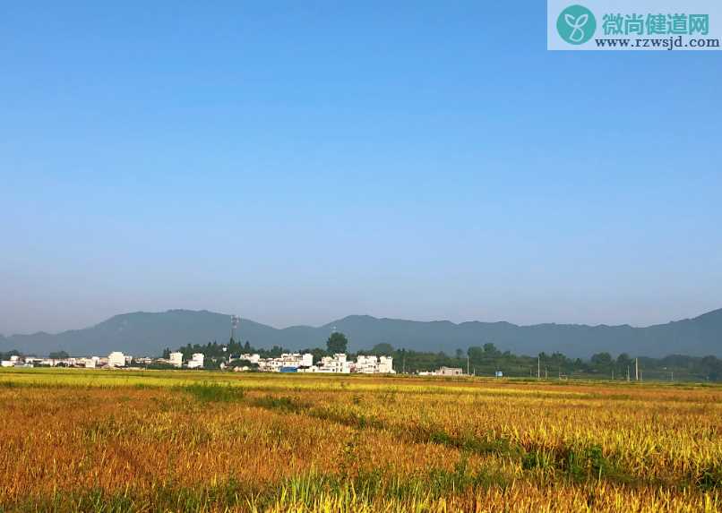 今日白露心情说说 2019今日白露说说朋友圈