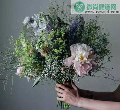 花店不开了花继续开是什么意思 花店不开了花继续开