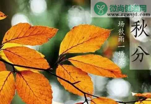 秋分是几月几日2019 秋分节气的特点