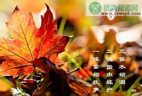 秋分是几月几日2019 秋分节气的特点