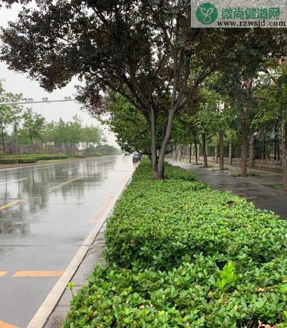 秋天下雨句子说说感慨 秋天下雨的说说朋友圈