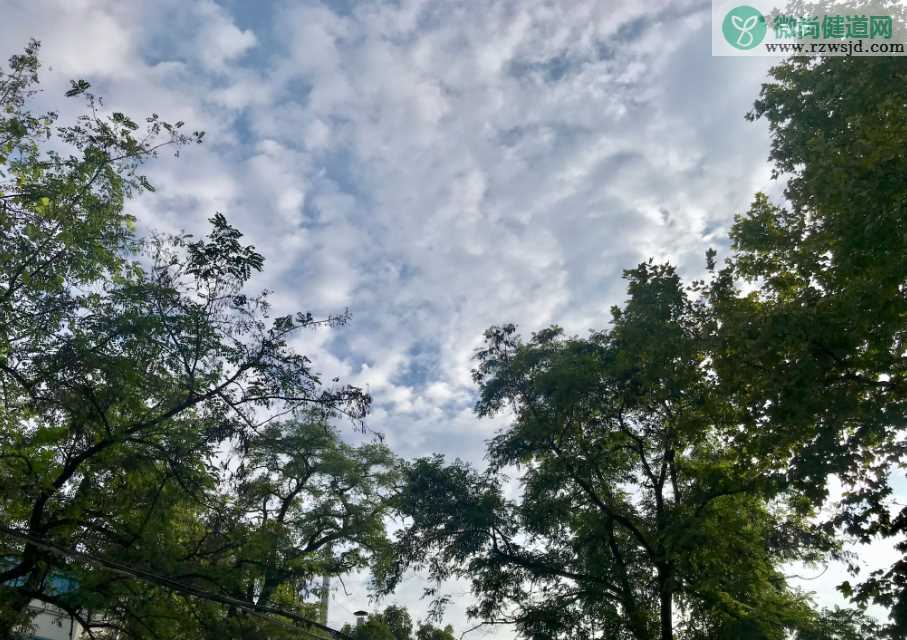 描写秋天下雨的句子段落 秋天下雨的心情感慨