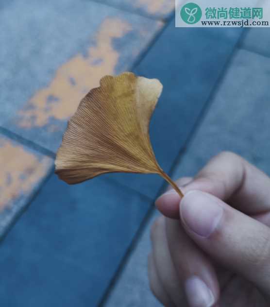 秋天天气凉了加衣服的说说 天气凉了的句子感慨