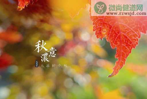 秋分朋友圈心情唯美句子2019 秋分发什么说说好