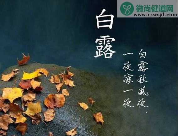 寒露早安朋友圈问候语2019 寒露早安正能量句子