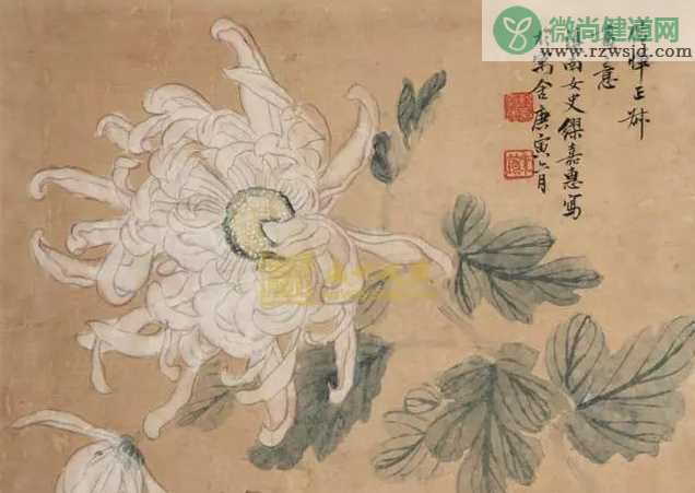 描写重阳节的古诗词有哪些 2019重阳节古诗词大全赏析