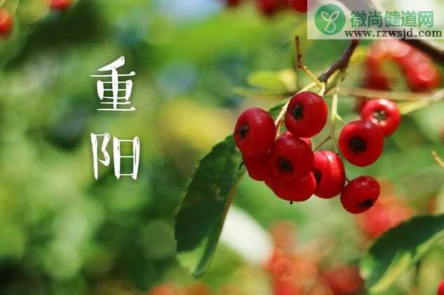 2019重阳节又叫什么节 重阳节的8个别称