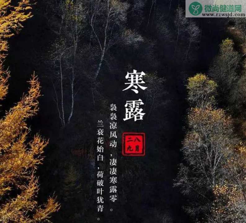 2019寒露节气祝福语说说  寒露节气祝福语大全