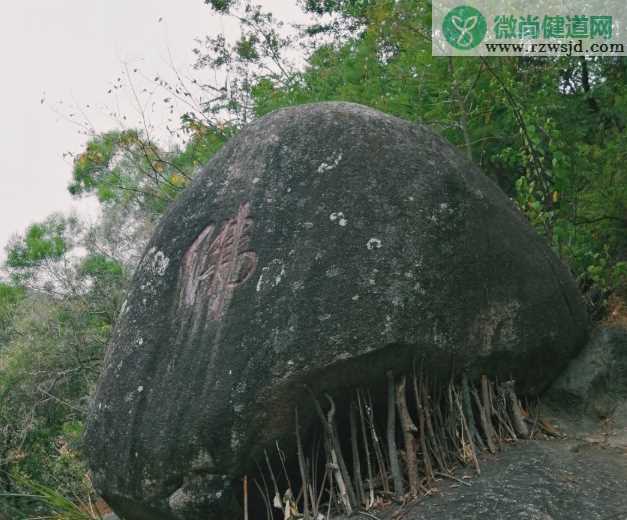 重阳节祝福老人的祝福语 重阳节祝福的话说说朋友圈