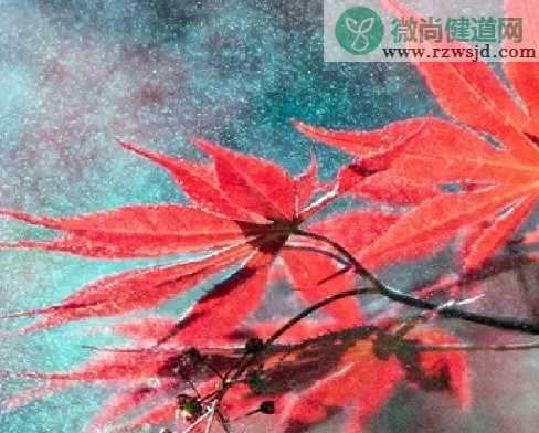 天气冷了的朋友圈说说2019 天气转凉微信问候语